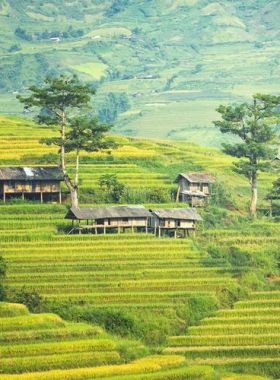 vietnam classic tours 1